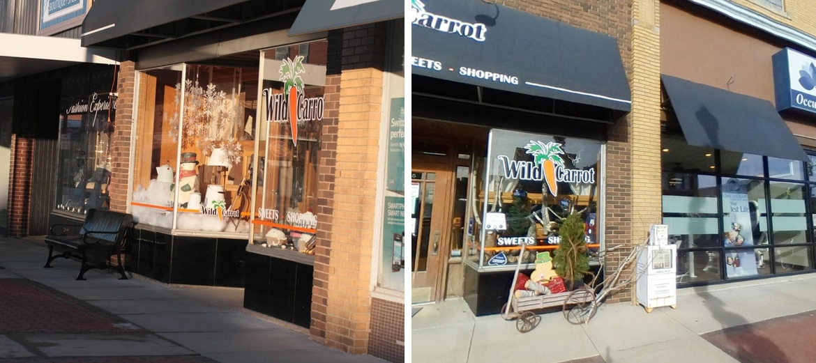 Wild Carrot LLC