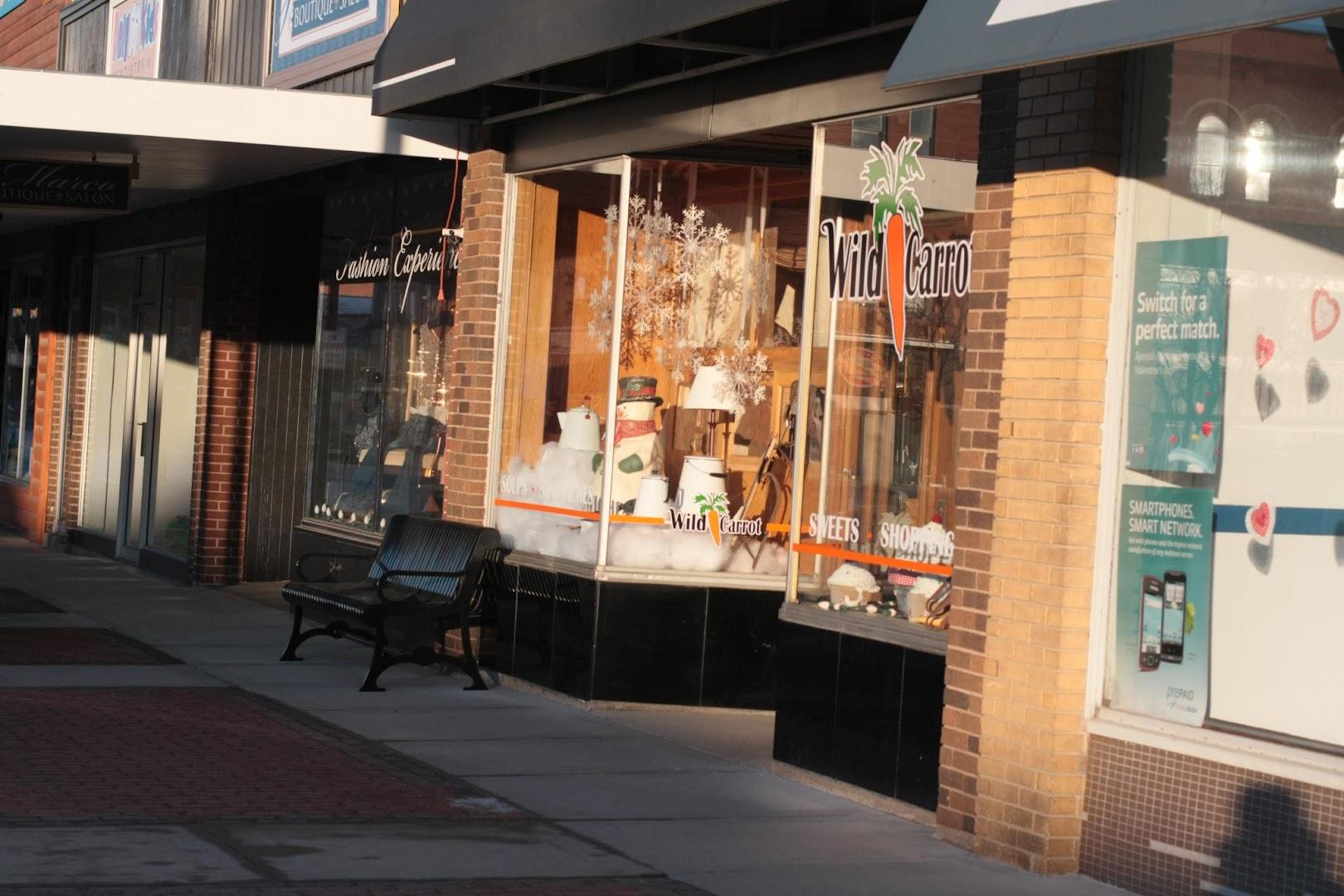 Wild Carrot LLC